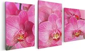 Artaza Canvas Schilderij Drieluik Roze Orchidee Bloemen - 120x60 - Foto Op Canvas - Canvas Print