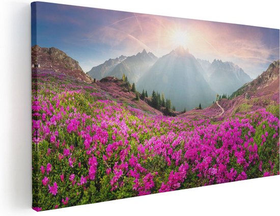Artaza Peinture sur toile Champ de fleurs de rhododendrons dans les Alpes – 40 x 20 – Klein – Photo sur toile – Impression sur toile