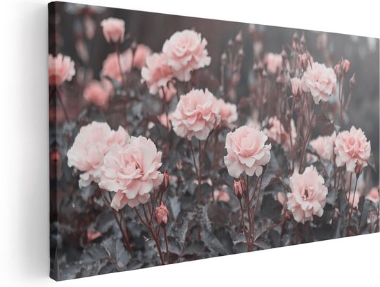 Artaza Canvas Schilderij Roze Rozen Bloemen  - 100x50 - Groot - Foto Op Canvas - Canvas Print