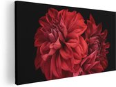 Artaza Canvas Schilderij Rode Dahlia Bloemen - 100x50 - Groot - Foto Op Canvas - Canvas Print