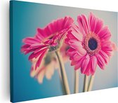 Artaza Canvas Schilderij Twee Roze Anjers - Bloemen - 60x40 - Foto Op Canvas - Canvas Print