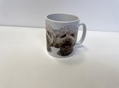 Mok Labradoodle