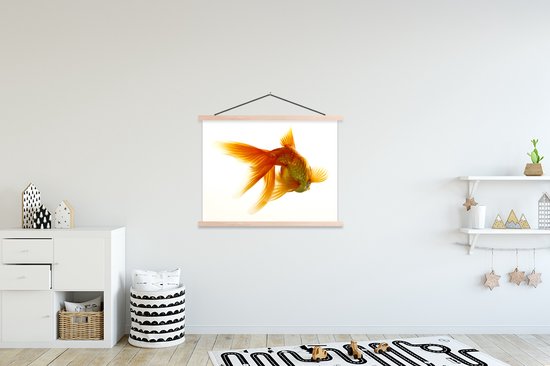 Poisson rouge devant un fond blanc affiche textielposter lattes vierges 150x113 cm