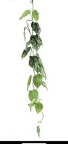 Countryfield - Scindapsus - kunstplant - groen - L5xB5xH121 cm