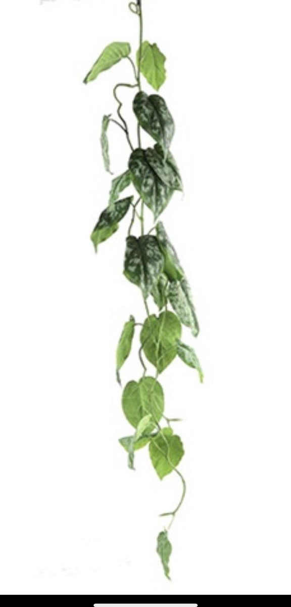 Countryfield Scindapsus kunstplant groen L5xB5xH121 cm