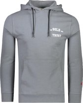 In Gold We Trust Hoodies Grijs Normaal - Maat XL - Mannen - Never out of stock Collectie - Katoen