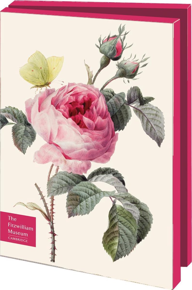 Bekking & Blitz - Kaartenmapje - Set wenskaarten - Museumkaarten - Kunstkaarten - 10 stuks - Inclusief enveloppen - Bloemen - Roos - Rose - Fitzwilliam Museum