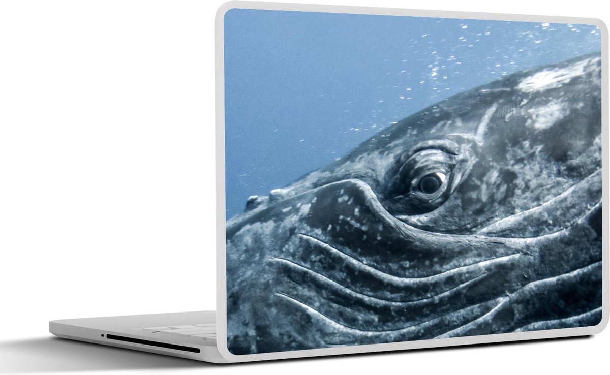 Laptop sticker - 12.3 inch - Ogen - Walvis - Grijs - 30x22cm - Laptopstickers - Laptop skin - Cover
