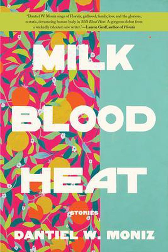 Boek cover Milk Blood Heat van Dantiel W Moniz (Paperback)
