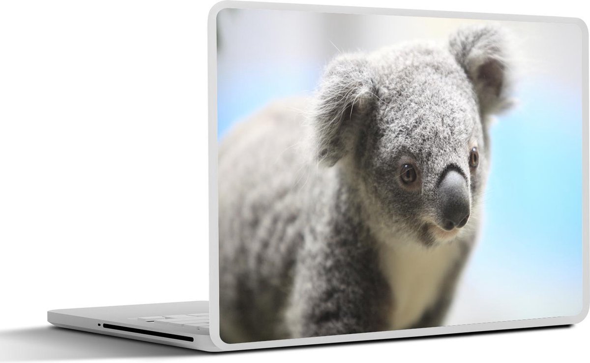 Laptop sticker - 12.3 inch - Koala - Portret - Dier - Kinderen - Jongens - Meiden - 30x22cm - Laptopstickers - Laptop skin - Cover