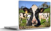 Autocollant pour ordinateur portable - 15,6 pouces - Vache - Clôture - Herbe - Animaux - 36x27,5 cm - Autocollants pour ordinateur portable - Skin pour ordinateur portable - Housse