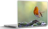 Sticker pour ordinateur portable - 17,3 pouces - Pierres - Robin - Nature