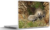 Laptop sticker - 12.3 inch - Baby egels in de natuur - 30x22cm - Laptopstickers - Laptop skin - Cover