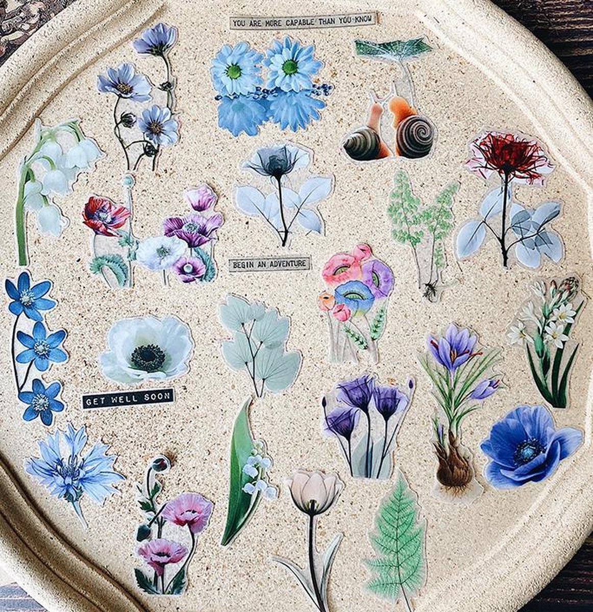 Stickerset Flora - Die Cuts- 58 stuks vintage vellum stickers voor o.a bulletjournal, scrapbooking en kaarten maken
