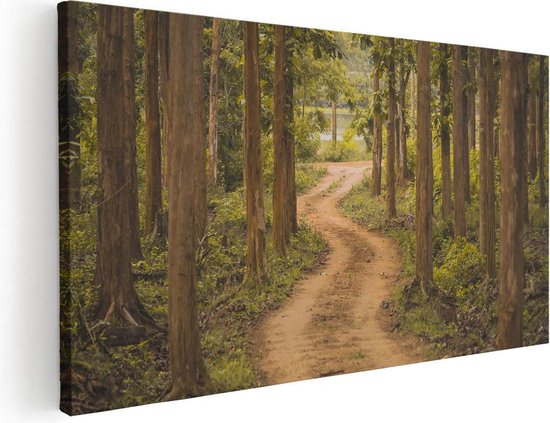 Artaza Canvas Schilderij Pad In Het Bos Met Bomen - 40x20 - Klein - Foto Op Canvas - Canvas Print