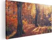 Artaza Canvas Schilderij Oranje Herfstbos Met Zonneschijn - 40x20 - Klein - Foto Op Canvas - Canvas Print