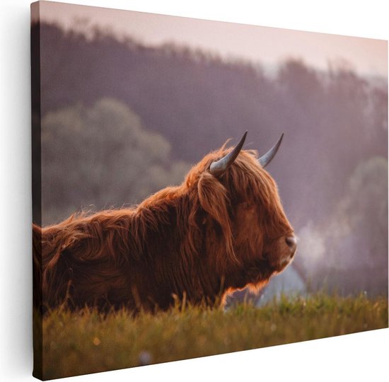 Artaza Canvas Schilderij Schotse Hooglander Koe Ligt In Het Gras - 80x60 - Foto Op Canvas - Canvas Print