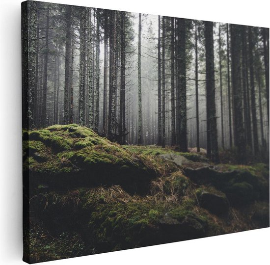 Artaza Canvas Schilderij Bos Met Mos Op Rotsen - 80x60 - Foto Op Canvas - Canvas Print