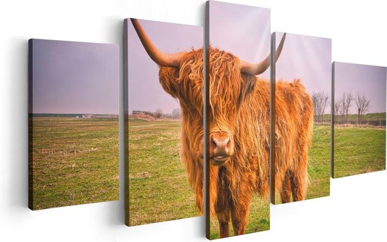 Artaza - Peinture sur Toile Pentaptyque - Vache Highlander écossaise Marron - Couleur - 100x50 - Photo sur Toile - Impression sur Toile