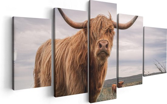 Artaza Toile Peinture Pentaptyque Scottish Highlander Vaches Dans Le Pâturage - 100x50 - Photo Sur Toile - Impression Sur Toile