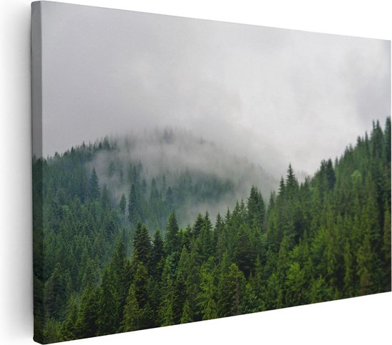 Artaza Canvas Schilderij Groen Bos Met Bomen Tijdens De Mist - 120x80 - Groot - Foto Op Canvas - Wanddecoratie Woonkamer
