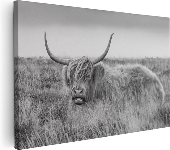 Artaza - peinture sur toile - vache Highlander écossais - Zwart Wit - 120 x 80 - Groot - photo sur toile - impression sur toile