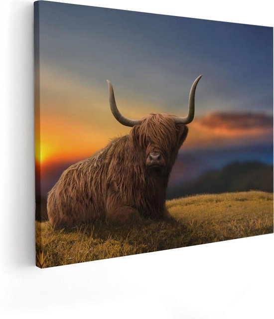 Artaza Canvas Schilderij Schotse Hooglander Koe Op Een Heuvel - 50x40 - Foto Op Canvas - Canvas Print