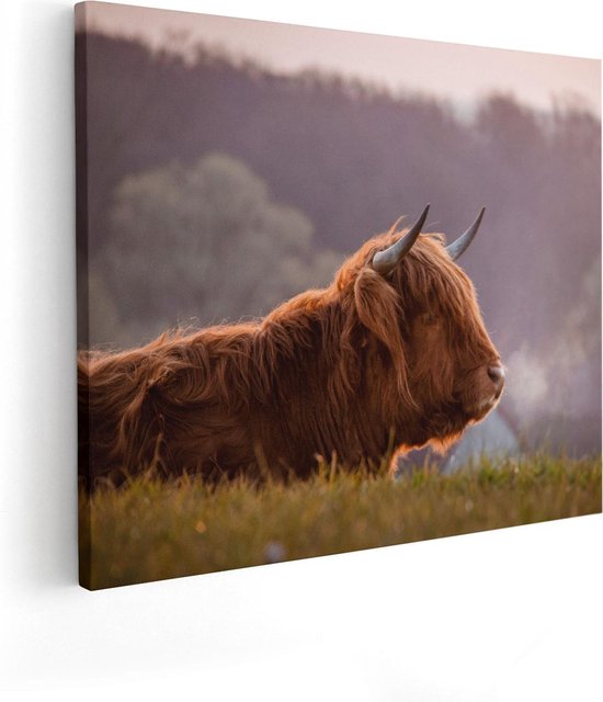 Artaza Canvas Schilderij Schotse Hooglander Koe Ligt In Het Gras - 50x40 - Foto Op Canvas - Canvas Print