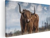 Artaza Canvas Schilderij Schotse Hooglander Koe - Kleur - 120x60 - Groot - Foto Op Canvas - Canvas Print