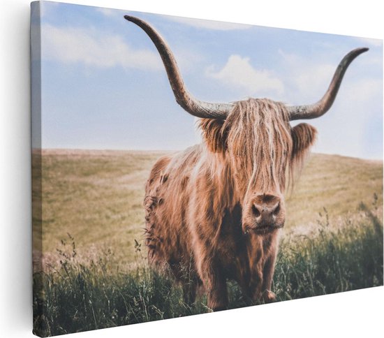 Artaza Canvas Schilderij Schotse Hooglander Koe In De Wei - 30x20 - Klein - Foto Op Canvas - Canvas Print