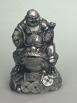 Happy Boeddha met Feng Shui kikker
