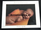 Anne Geddes puzzle - 57645 – Puzzel – Blatz – Slapende Abby – 900 stukjes