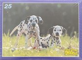 Puzzel Dalmatiërs hond 25 Fame puzzles