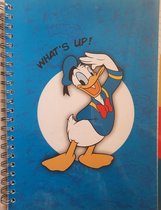 Donald Duck A4 ringband schrift met tabbladen - lijntjespapier - schoolschrift