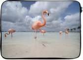 Laptophoes 14 inch - Flamingo's op Flamingostrand op Aruba - Laptop sleeve - Binnenmaat 34x23,5 cm - Zwarte achterkant
