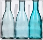 Sandra Rich - Hyacint - Decoratieve vaas / flessenvaas - 3 tinten blauw - 3 stuks