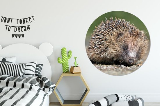 WallCircle - Cercle Mural - Cercle Mural - Hérisson - Water - Soleil - Aluminium - Dibond - 140x140 cm - Intérieur et Extérieur