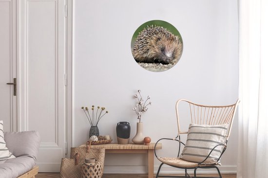 Cercle de papier peint - Hérisson - Water - Soleil - ⌀ 30 cm - Cercle mural - Autocollant - Sticker papier peint