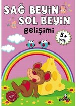5 Yaş Sağ Beyin   Sol Beyin Gelişimi