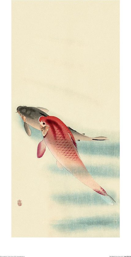 Poster - Ohara Koson Two Carp - 60 X 30 Cm - Multicolor