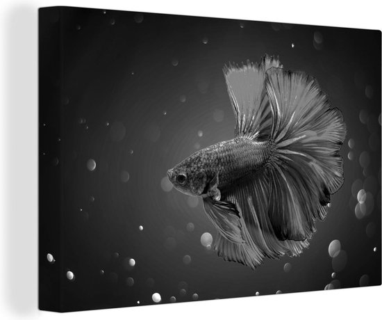 Canvas Schilderij Vis zwemt rustig rond - zwart wit - 60x40 cm - Wanddecoratie