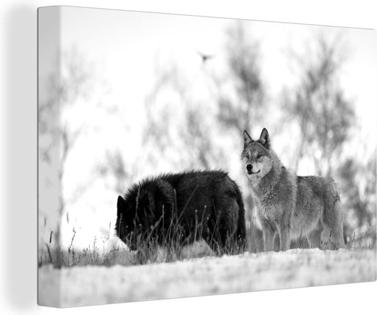 Tableau sur toile Loup Witte avec un loup noir noir et blanc