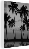 Canvas Schilderij Silhouetten van palmbomen tegen een lichtbewolkte lucht met de maan en een reflectie - zwart wit - 60x90 cm - Wanddecoratie