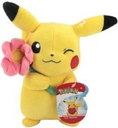 Pokemon - Pikachu With Flower Pluche