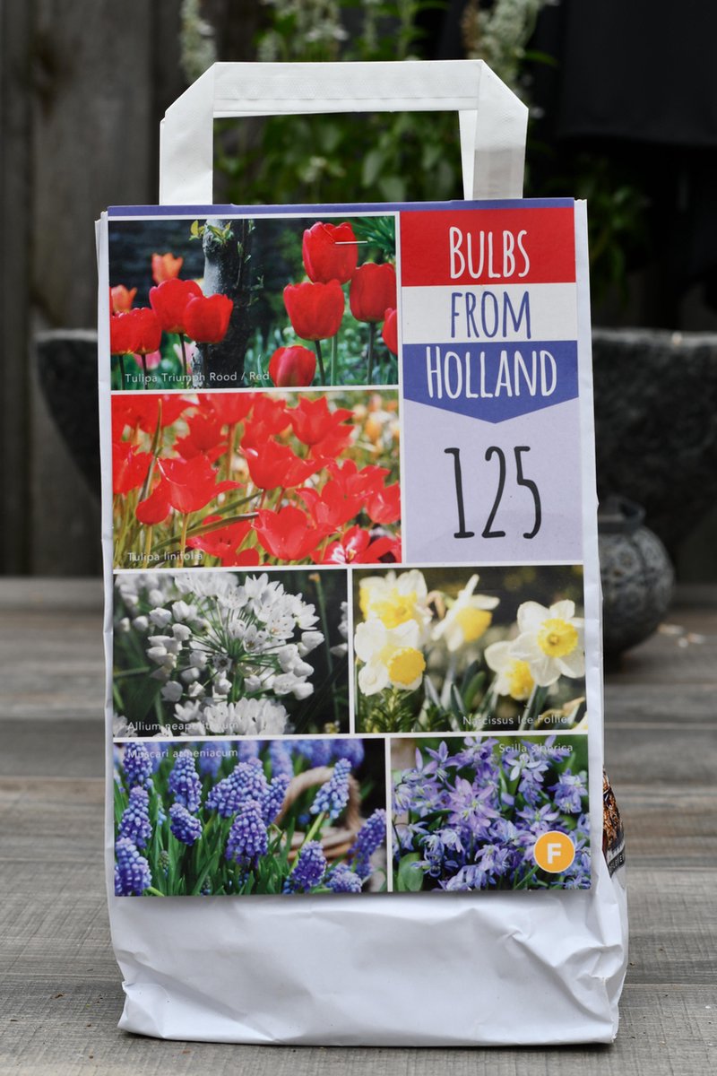 125 Gemengde Bloembollen - Rood / Wit / Blauw - Tulpenbollen - Voordeelverpakking - Grootverpakking