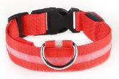 LED halsband hond / kat rood L