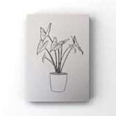 Alocasia Zebrina, Olifantsoor - Planten - Prent - A4 poster - duurzaam - ecologisch papier