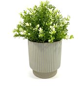 Lucy’s Living Luxe Bloempot STRIPE green – ø 14 x 14 cm - groen -  binnen – buiten – luxe – accessoires – tuin – decoratie – bloemen - aardewerk - planten - plantenhouder