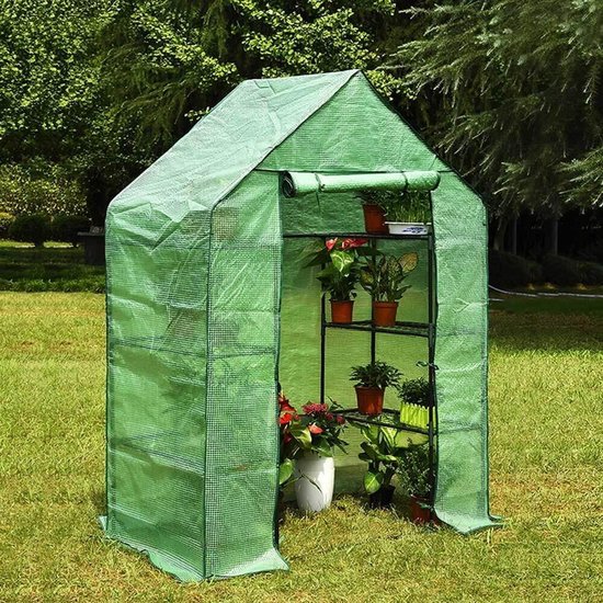 HALLS Tuinkas Popular 66 met veiligheidsglas groen 193x195 cm kopen