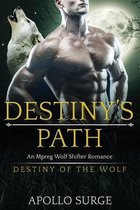 Destiny's Path